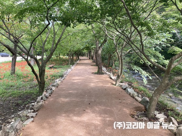 (사진제공/정읍시)