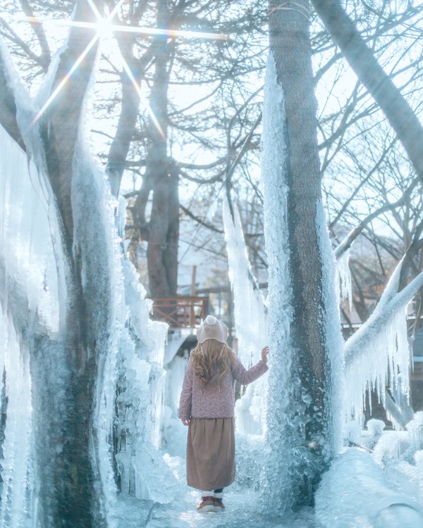 꽃새미마을 참샘허브나라