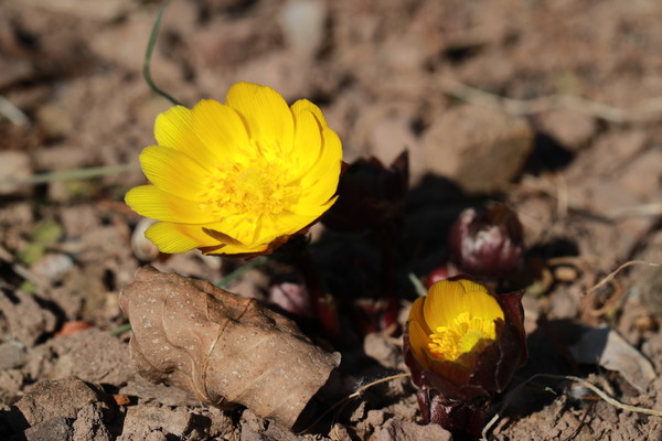 (사진제공/의령군)