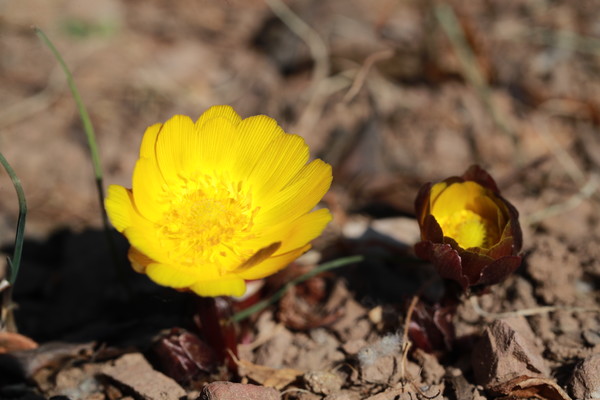 (사진제공/의령군)