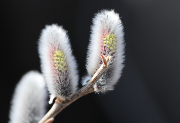 (사진제공/함양군)