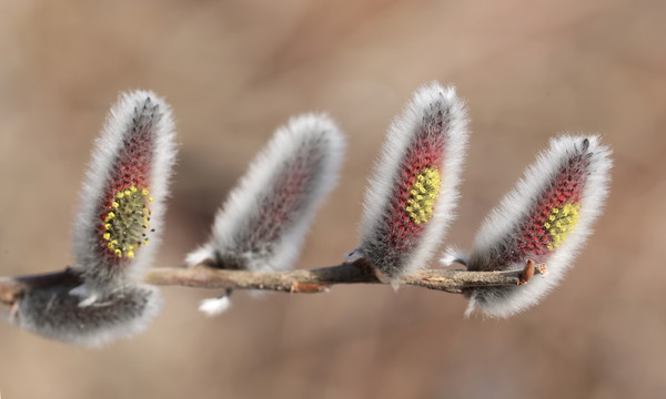 (사진제공/함양군)