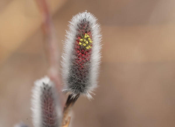 (사진제공/함양군)