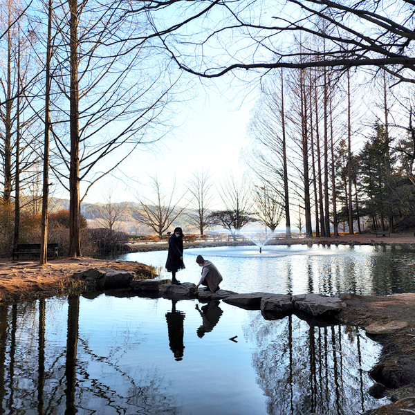 (사진제공/안동시)