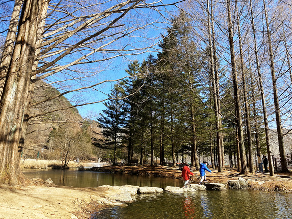 (사진제공/안동시)