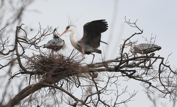 (사진제공/함양군)