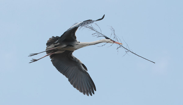 (사진제공/함양군)