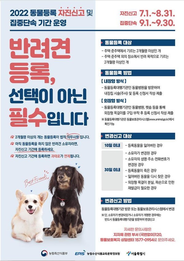  서울시는 시민의 동물등록을 강화하기 위해 7월1일부터 8월31일까지 '동물등록 자진신고 기간'을 운영한다고 28일 밝혔다. (사진=서울시 제공) 2022.06.28.