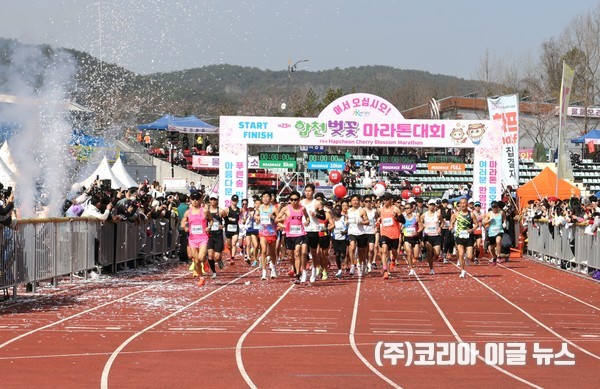 합천군, 제23회 합천벚꽃마라톤대회 성료 (사진/제공=합천군)