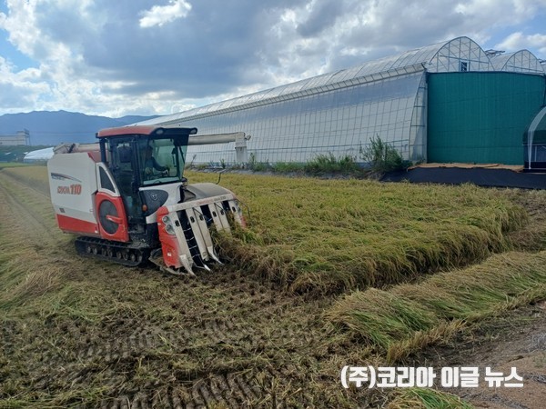 김해시, 2025년산 공공비축미곡 매입 추진 (사진/제공=김해시)