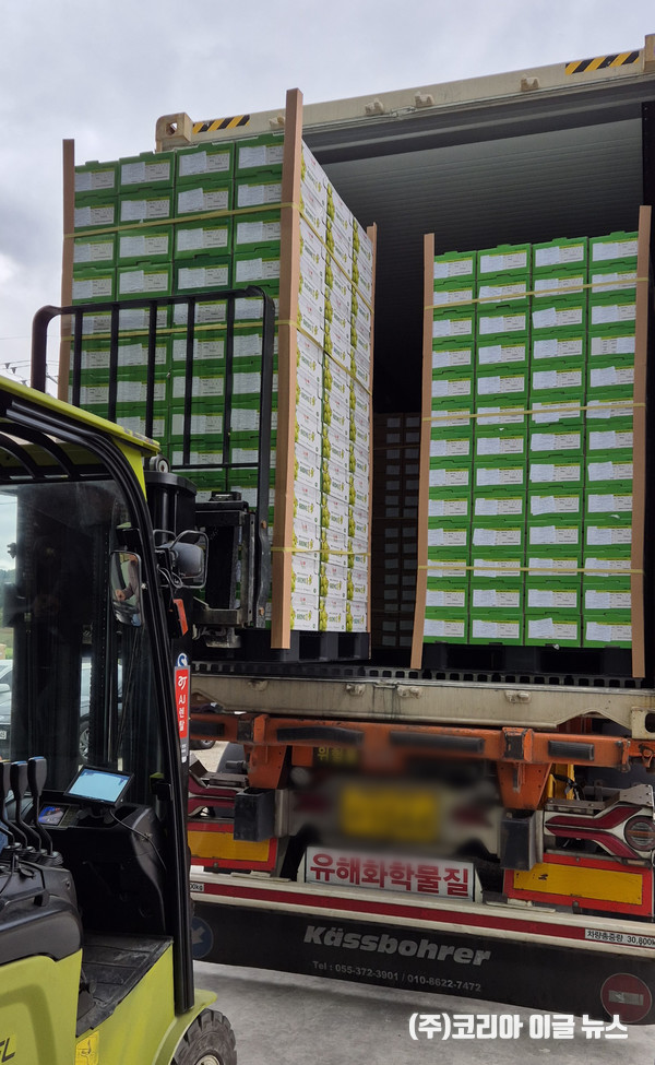 호주로 수출될 샤인머스켓을 차량에 싣고 있다.  (사진/제공=영주시)