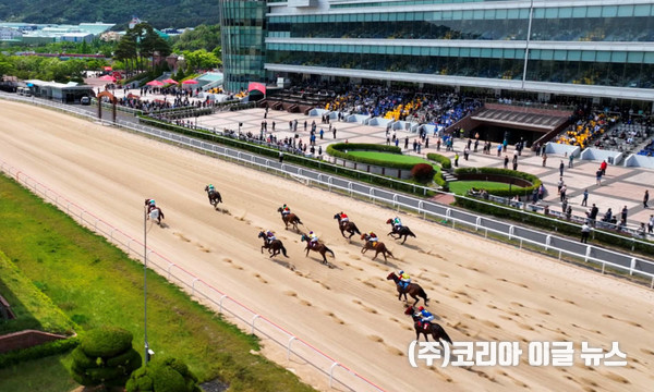 18회 대상경주 드론 촬영  (제공=경상남도)