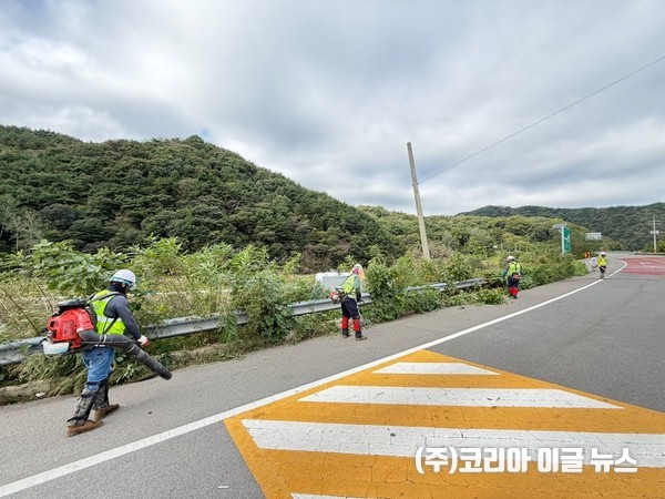 도로변 풀베기 작업 사진 (제공=합천군)