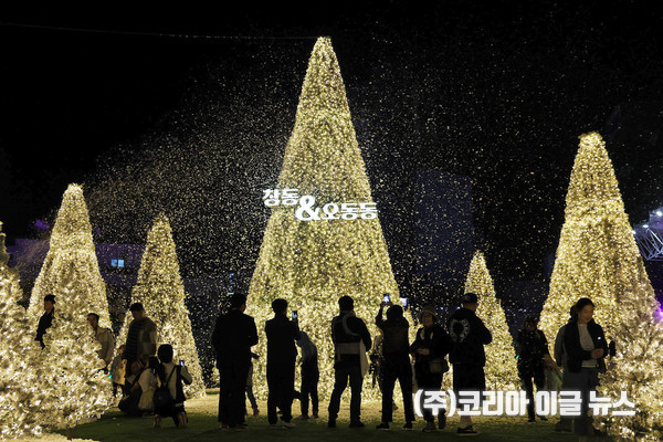 오동동 문화광장 빛의거리 조성 현장  (사진/제공=창원특례시)