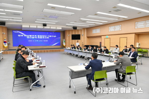 영주시 비상활주로 활용방안 기본구상 연구용역 최종보고회가 개최됐다.  (사진/제공=영주시)