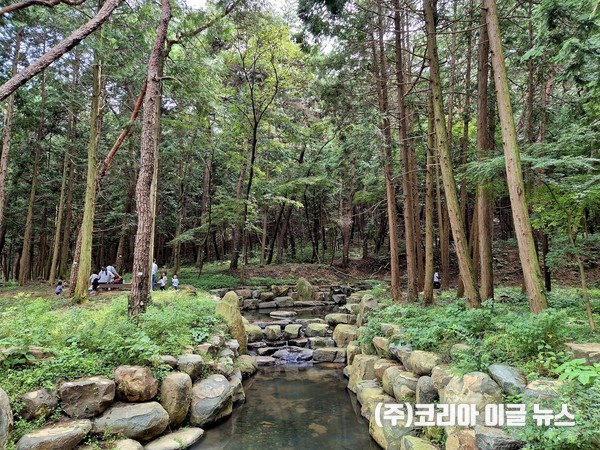 사방시설  (사진/제공=경상남도)