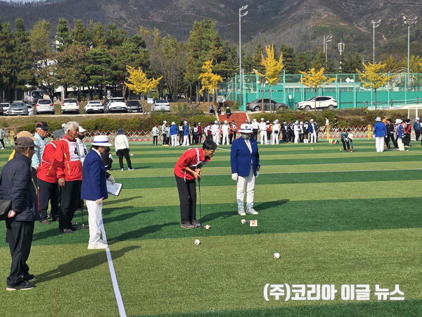 밀양시게이트볼협회, 제24회 밀양시장기 생활체육 경남게이트볼대회 개최  (사진/제공=밀양시)