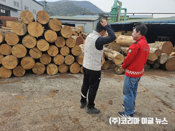 경상남도, 가을철 소나무류 이동 특별단속 실시  (사진/제공=경상남도)