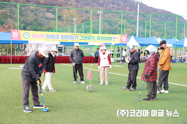 제4회 의령군협회장기 그라운드골프대회 개최   (사진/제공=의령군)