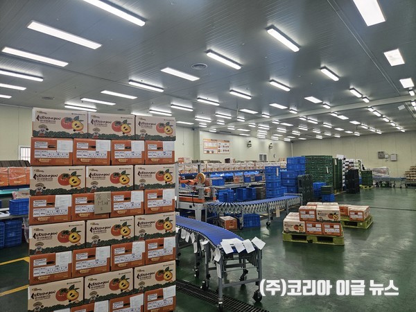 김해진영단감, 농수산물 온라인도매시장 특화상품 선정  (사진/제공=김해시)