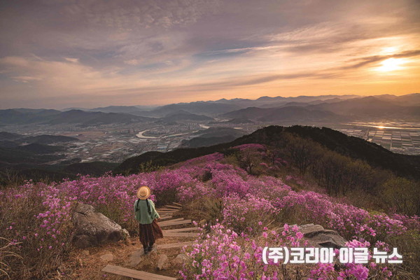 밀양사계절관광 전국 사진 공모전 금상 수상작 박성희 씨의 ‘종남산’  (사진/제공=밀양시)