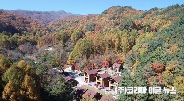 금원산 자연휴양림 숲속의집  (사진/제공=경상남도)
