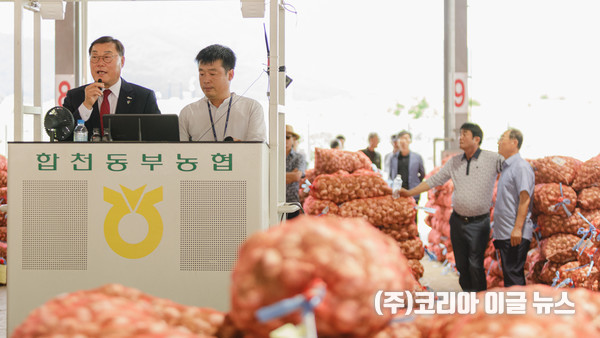 합천동부농협건마늘 초매식  (사진/제공=합천군)