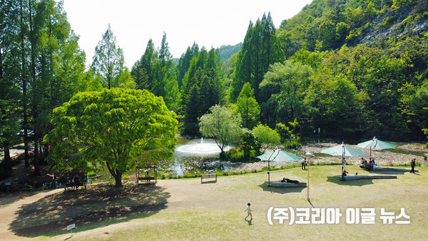 안동 ‘낙강물길공원’ 한시적 차단 안내  (제공=안동시)